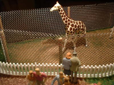 Giraffen im Tierpark